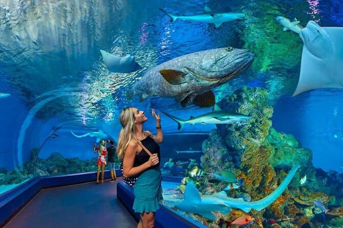 Hurghada Grand Aquarium Eintrittskarte mit Transfer