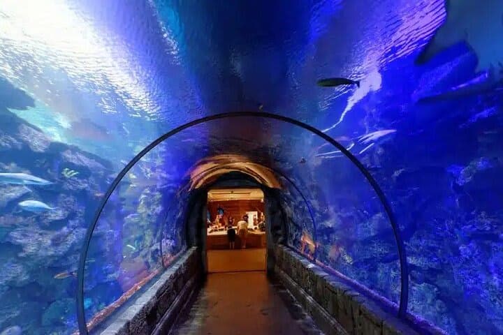 Hurghada Grand Aquarium Eintrittskarte mit Transfer 4