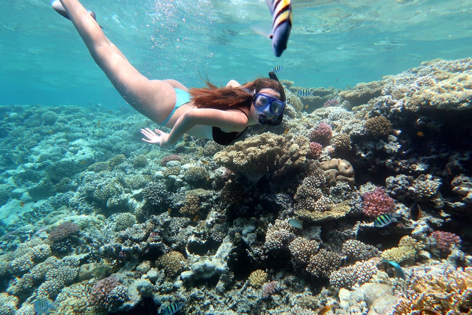 Die besten Schnorchel-Ausflüge in Hurghada 2025: Die faszinierende Unterwasserwelt des Roten Meeres entdecken